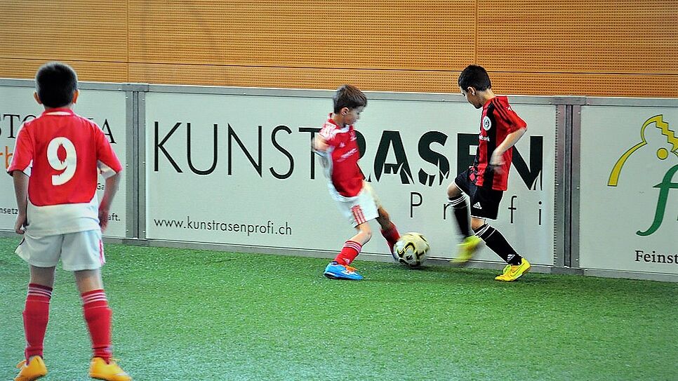 Kunstrasenprofi-Arena ⚽ DAS Kleinspielfeld der Schweiz